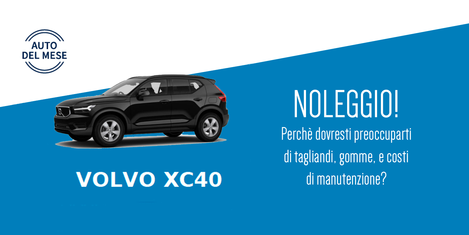 I numeri del noleggio a lungo termine…